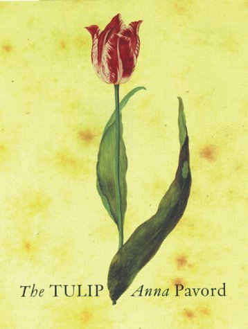 The tulip / [by] Anna Pavord